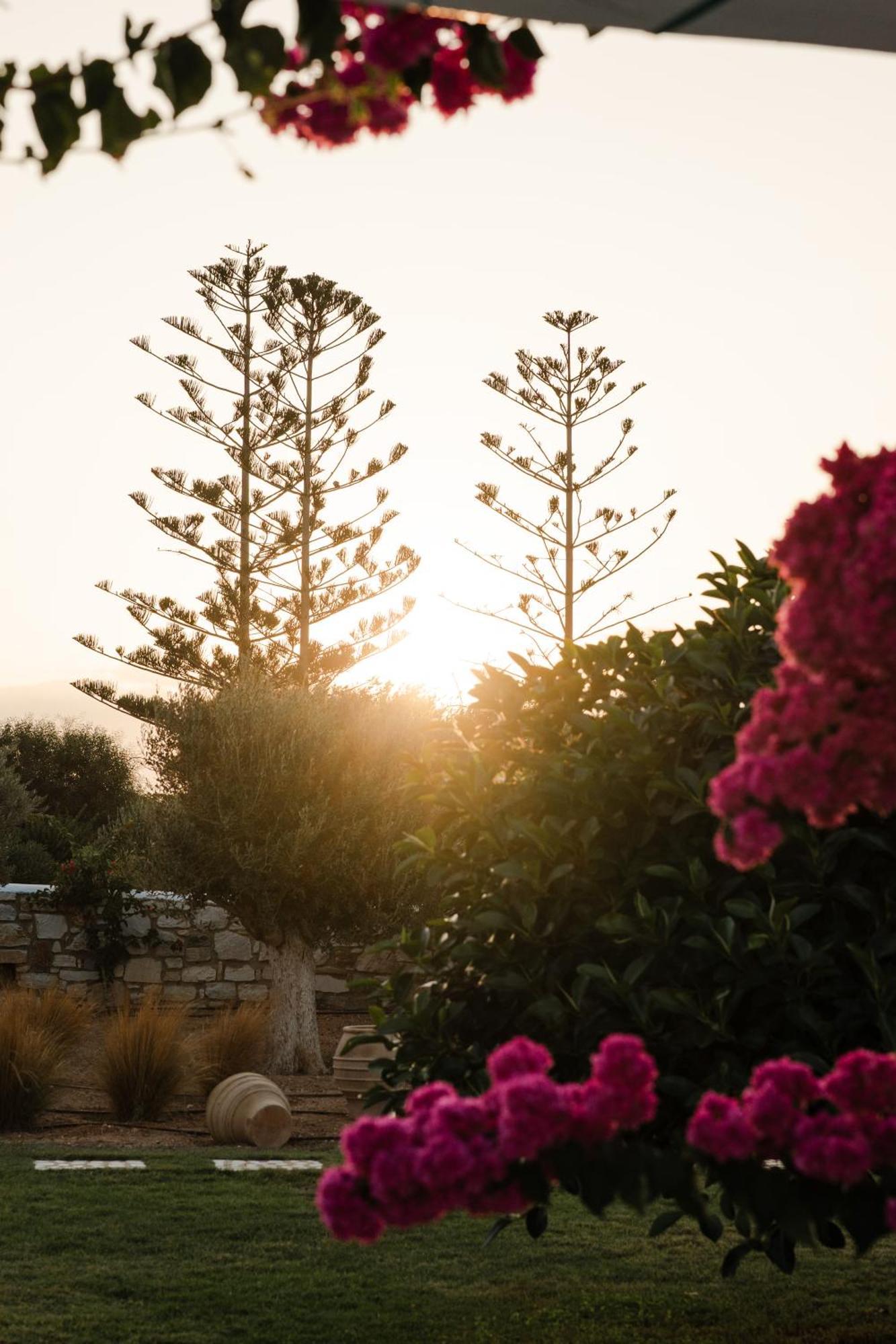White Dunes Luxury Boutique Hotel Santa Maria  Exterior foto